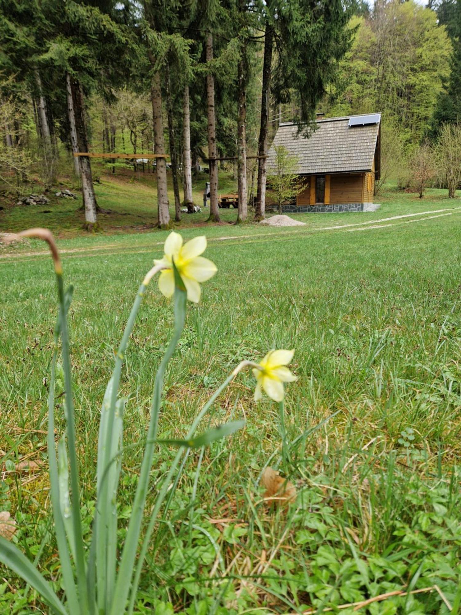 Koca V Gozdu, Forest House Near Bled Phòng bức ảnh