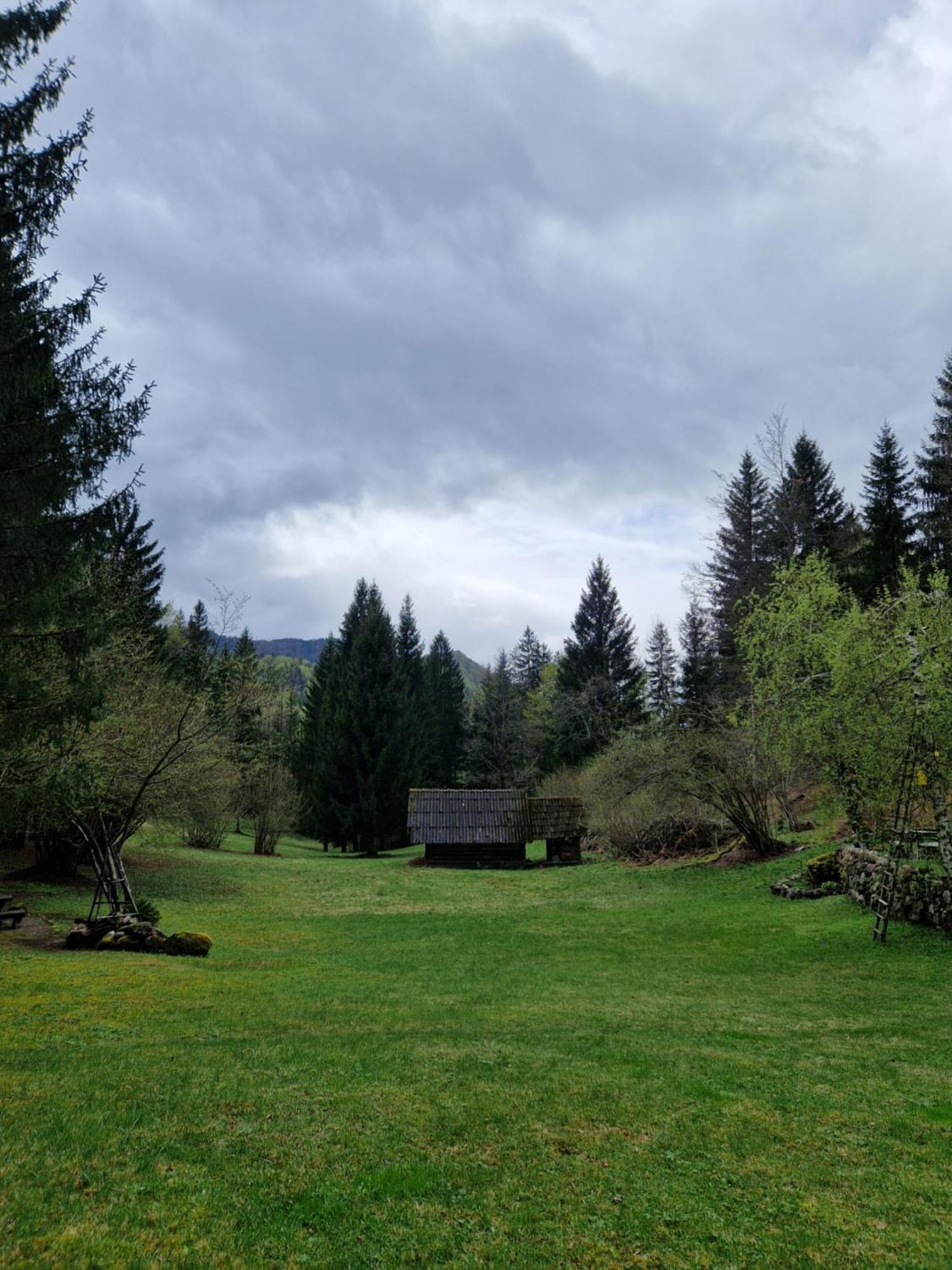 Koca V Gozdu, Forest House Near Bled Phòng bức ảnh